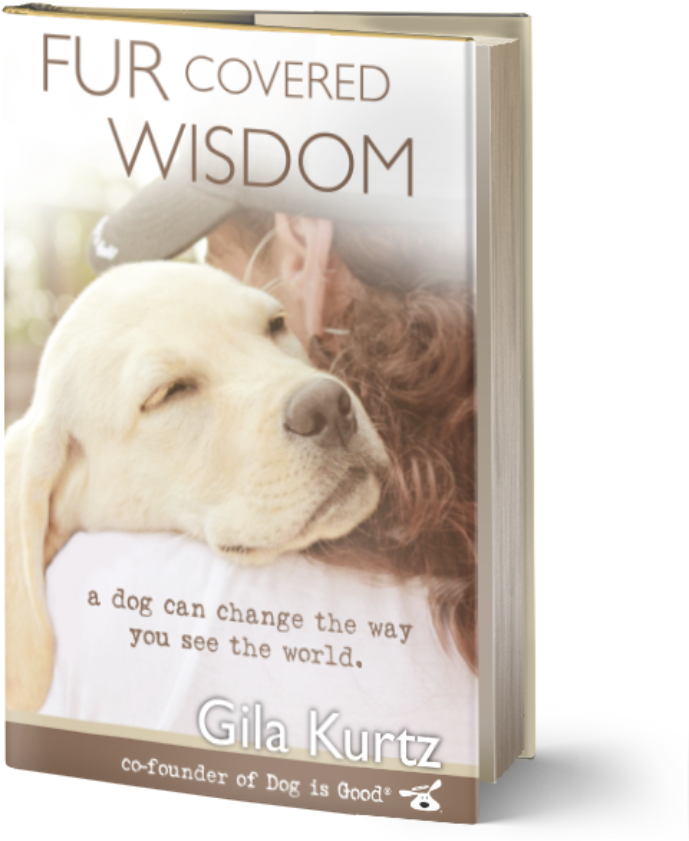 View Larger Image - Fur Covered Wisdom By Gila Kurtz 9781944177027 (paperback) PNG with transparent background