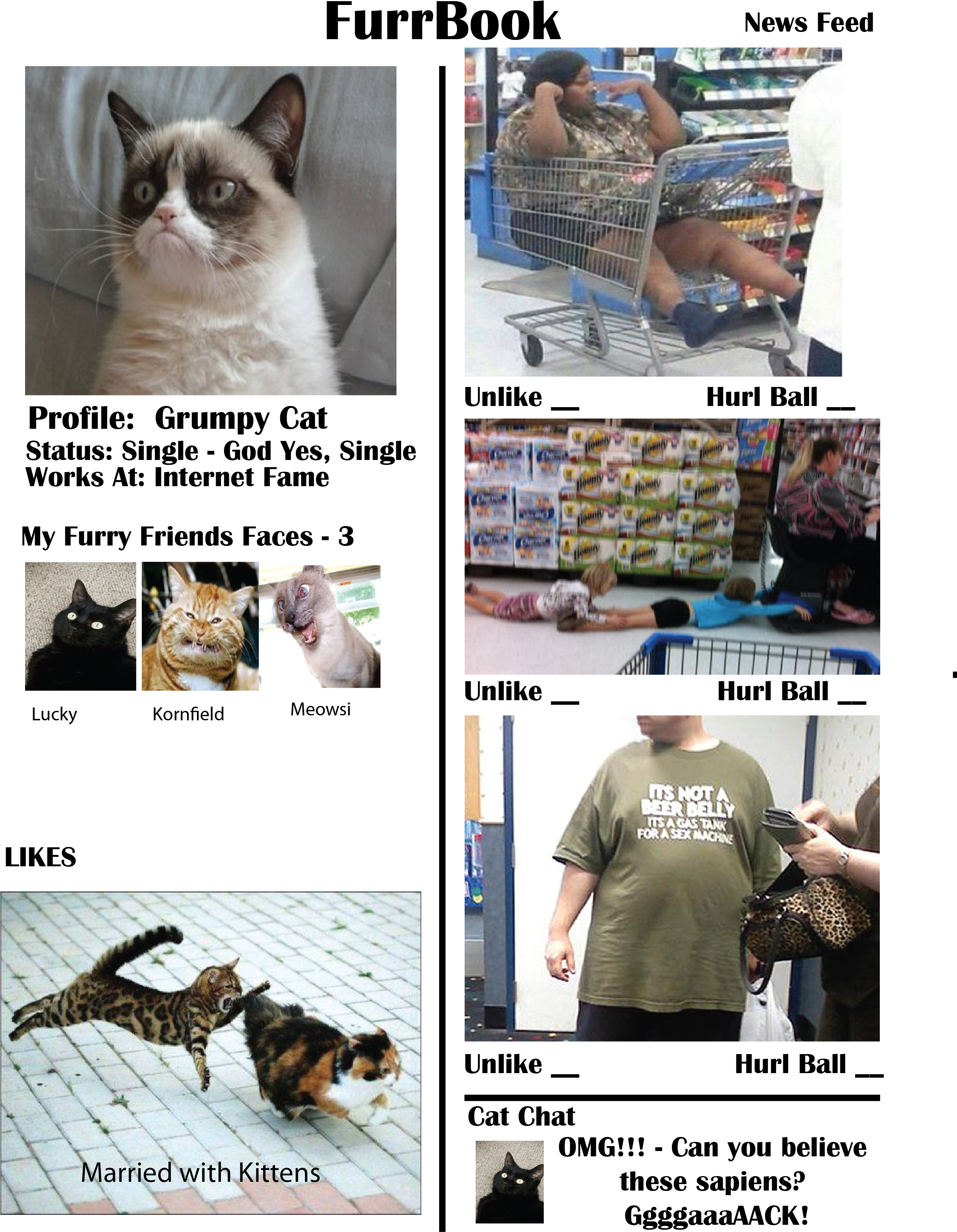 Furrballbook - Thai, HD Png Download PNG with transparent background