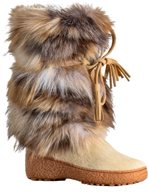 Oscar Boot 2 - Snow Boot, HD Png Download PNG with transparent background