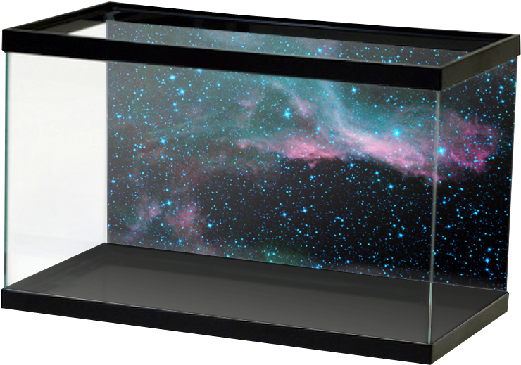 River Rock Aquarium Background, HD Png Download PNG with transparent background