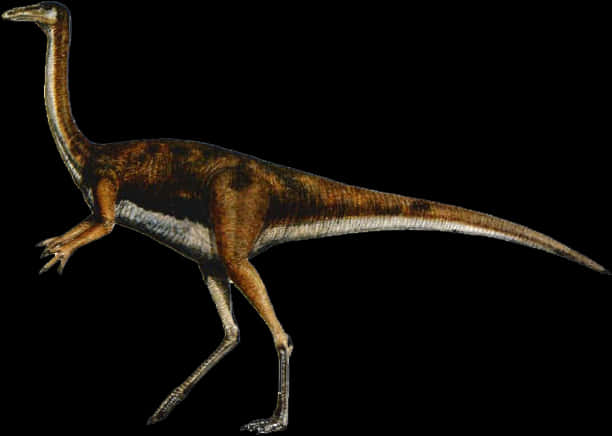 Gallimimus Dinosaur Illustration