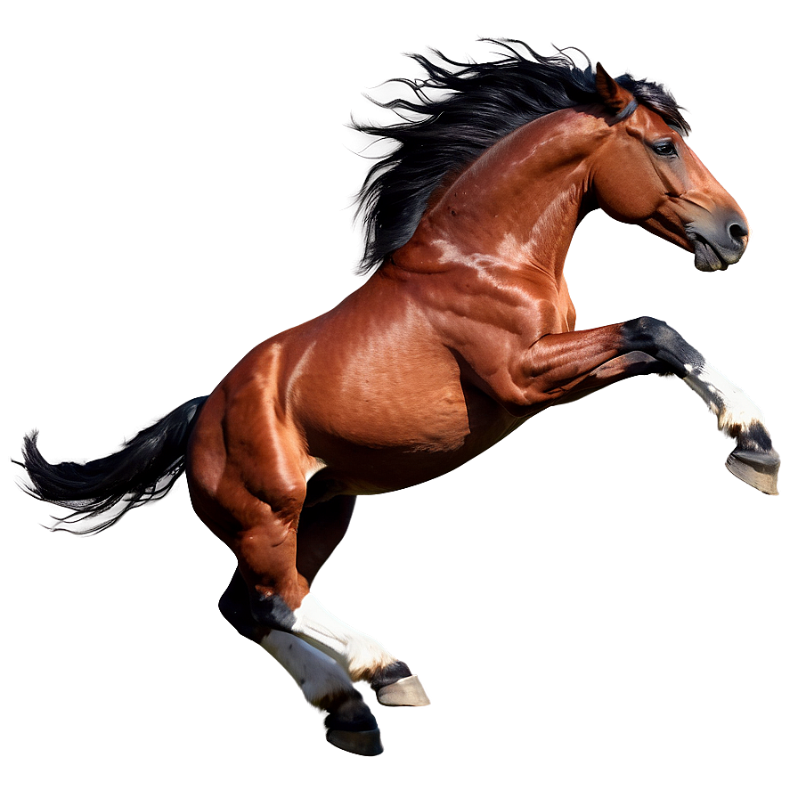 Galloping Horse Png 87