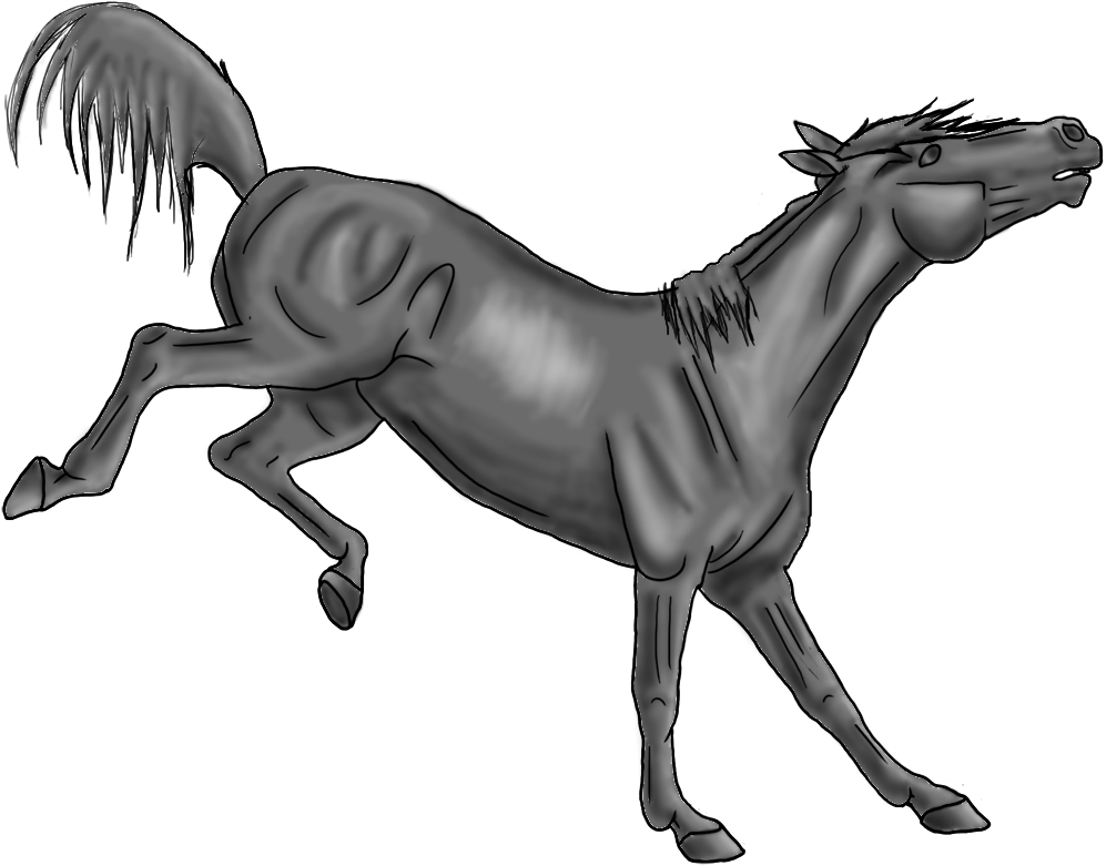 Galloping Horse Sketch