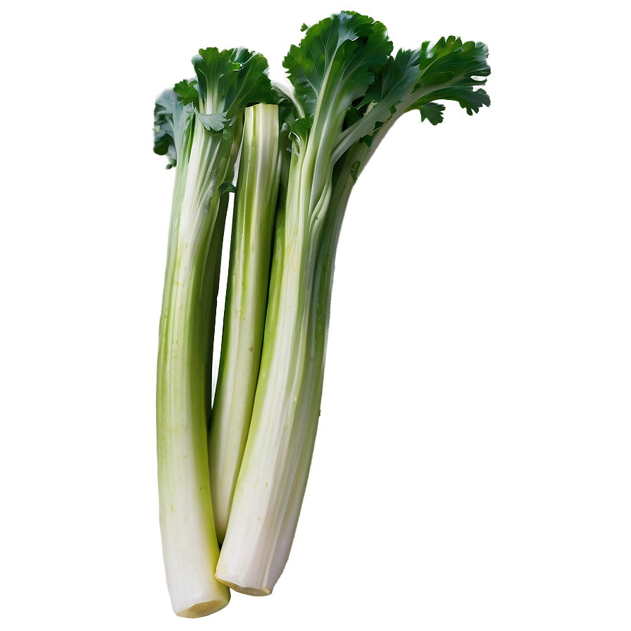 Garden Celery Png Dji