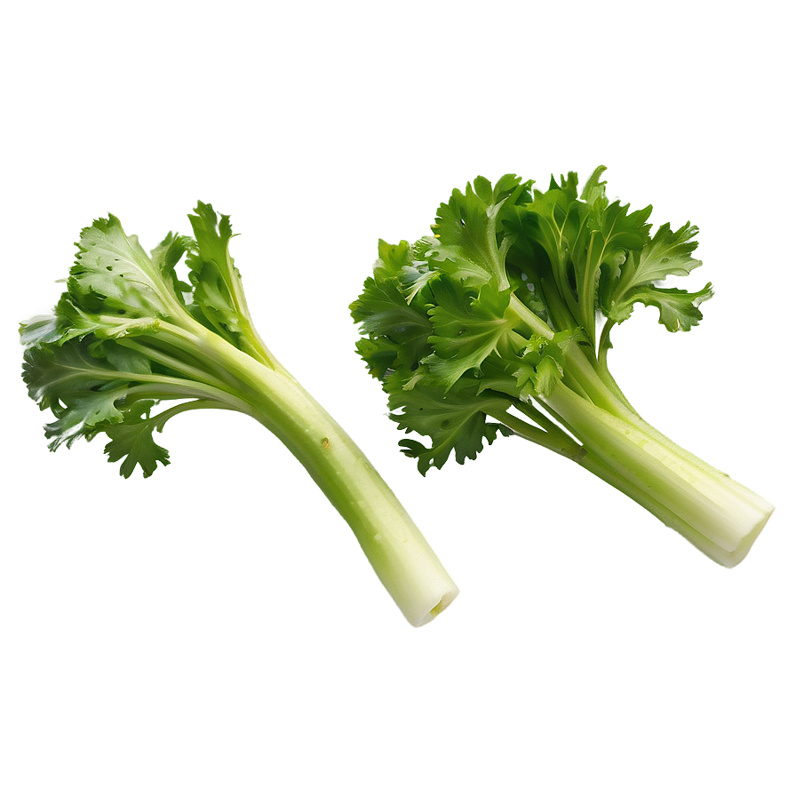 Garden Fresh Celery Png 06252024