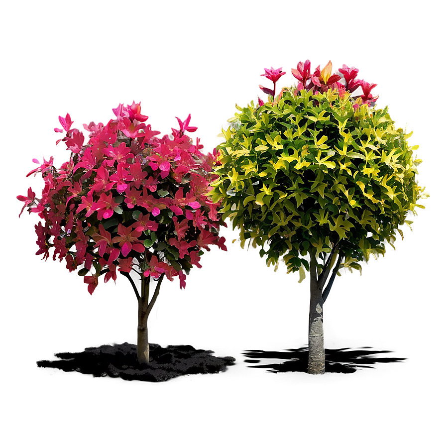 Garden Plant Png Chm37