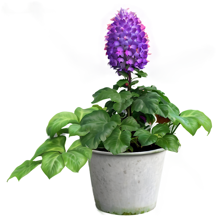 Garden Plant Png Ffg70