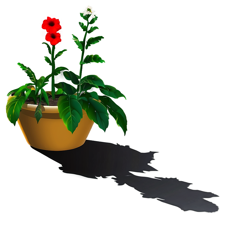 Garden Plant Shadow Png 8