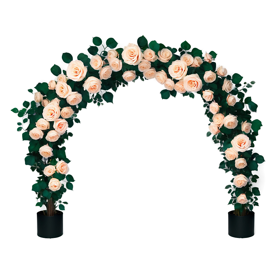 Garden Rose Arch Png 35