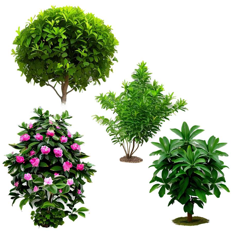 Garden Shrubs Png Qau