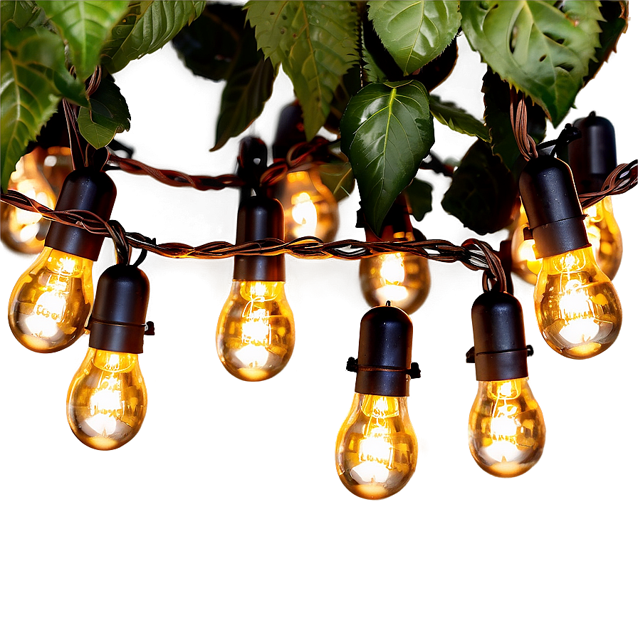 Garden String Lights Png 05252024