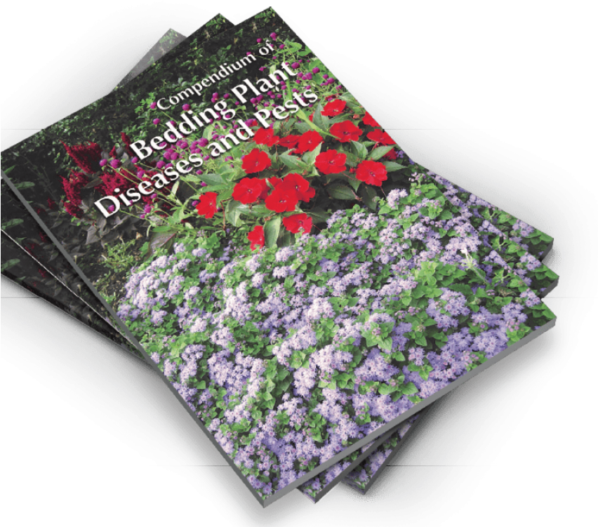 Gardening Book Periwinkle Diseases Pests