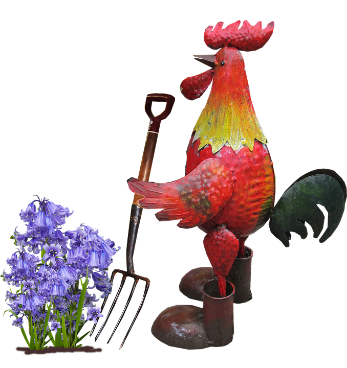 Gardening Rooster Artwork PNG with transparent background