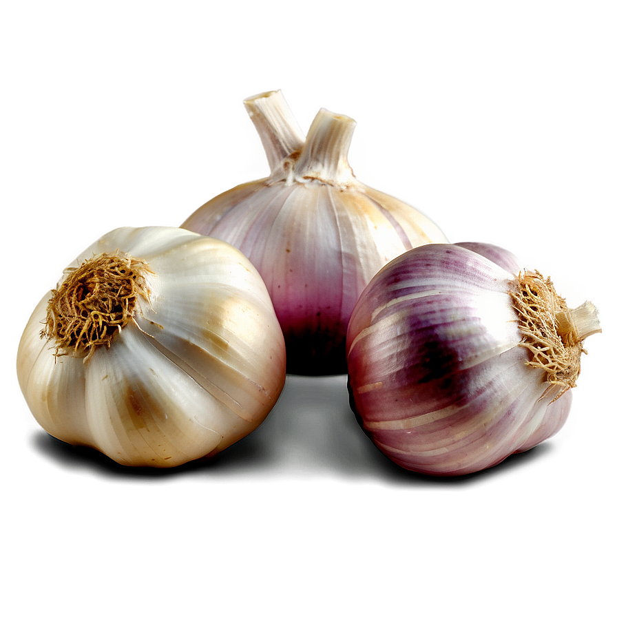 Garlic Bulb Png Qls7