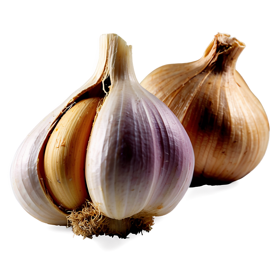 Garlic Clove PNG qgr51 PNG with transparent background