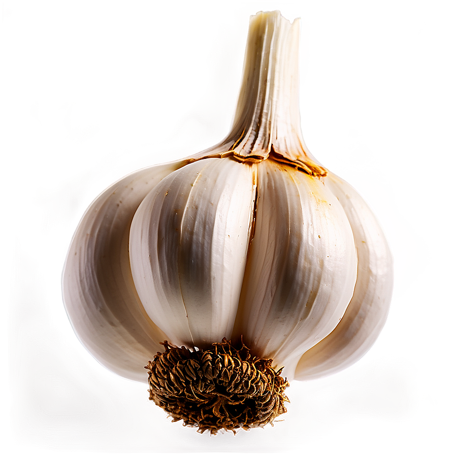 Garlic Plant Png 29