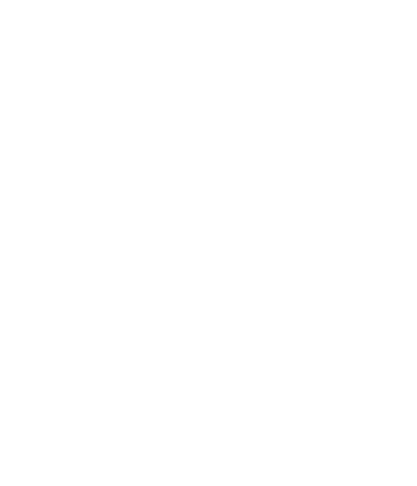 Gemini Zodiac Symbol