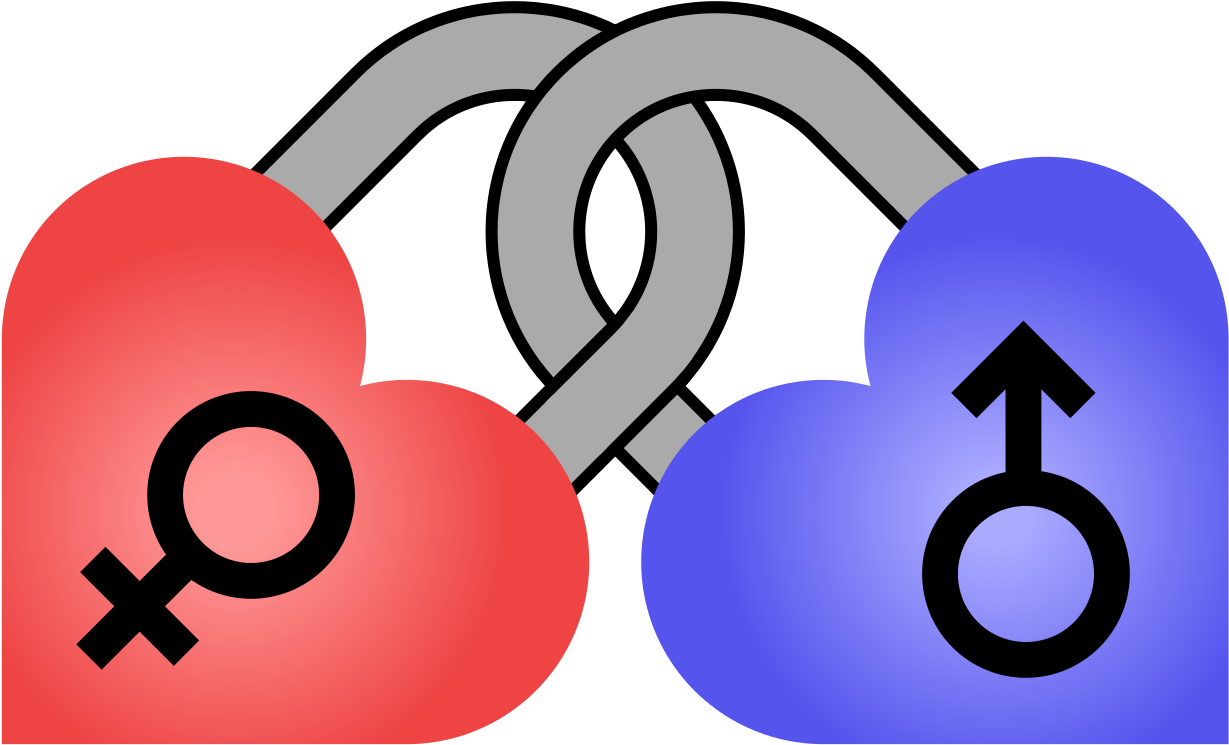 Transparent Heart Male Female, HD Png Download PNG with transparent background