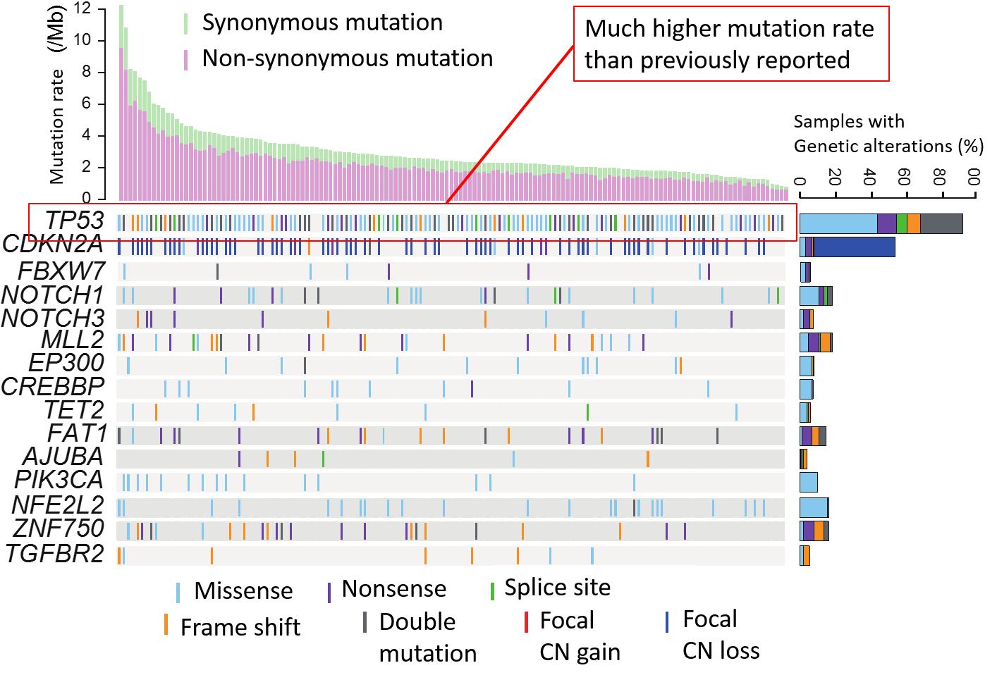 Genetic Mutation Rate Analysis Chart