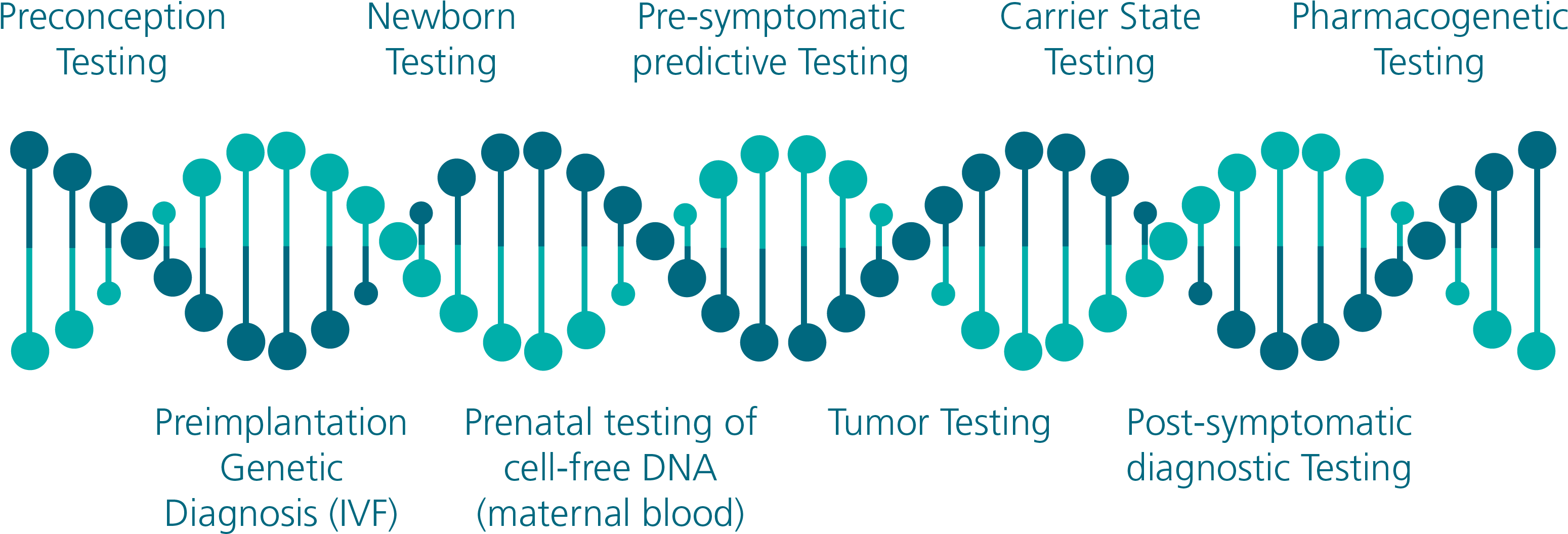Genetic Testing Stages Infographic PNG with transparent background