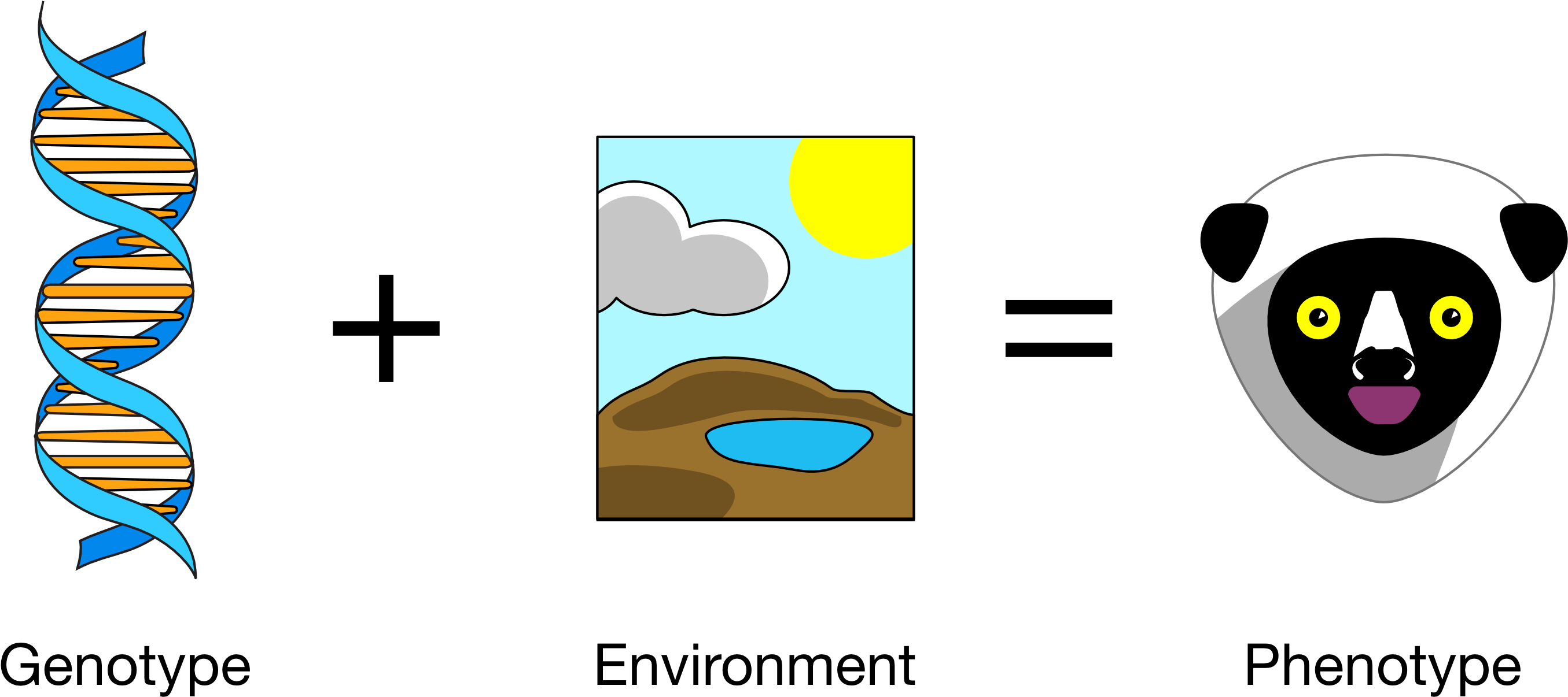 Genotype Plus Environment Equals Phenotype PNG with transparent background