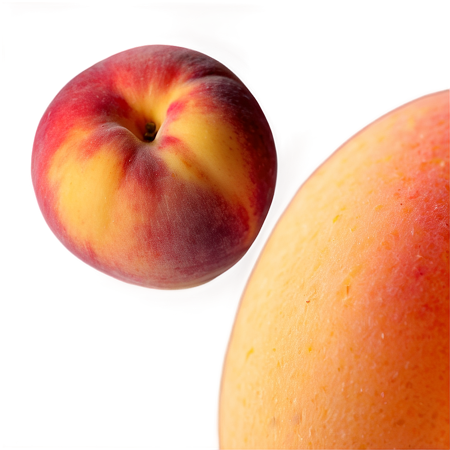 Gentle Peach Concept Png 51