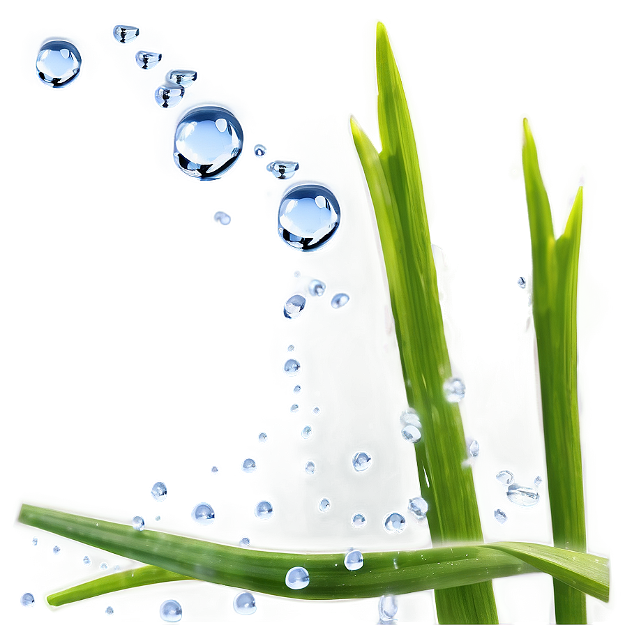 Gentle Water Drops On Grass Png Hcl