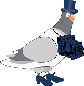 Gentleman Pigeonwith Camera PNG with transparent background