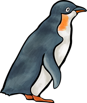 Gentoo Penguin Illustration