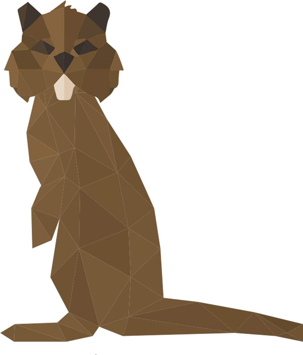 Otter Clipart , Png Download - Kitten, Transparent Png PNG with transparent background