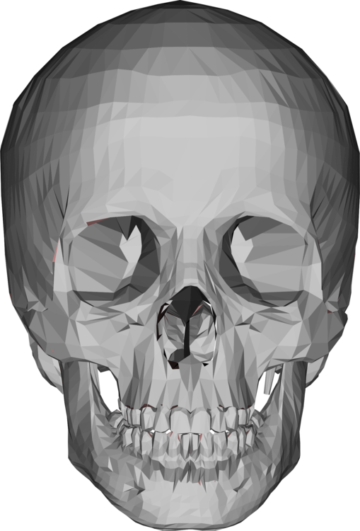 3d Skull Png - 3d Model Skull Png, Transparent Png PNG with transparent background