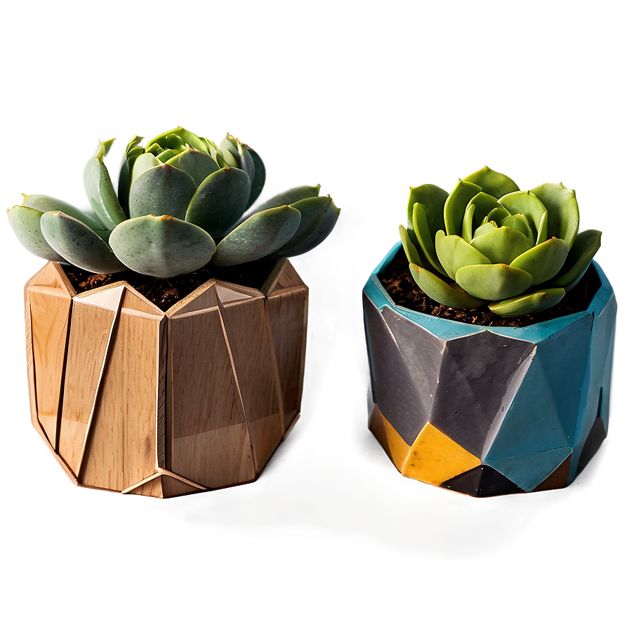 Geometric Succulent Holders Png 06212024