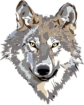 Geometric Wolf Portrait PNG with transparent background