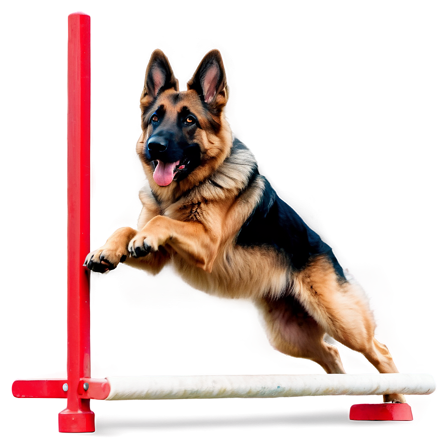 German Shepherd Agility Png Buf