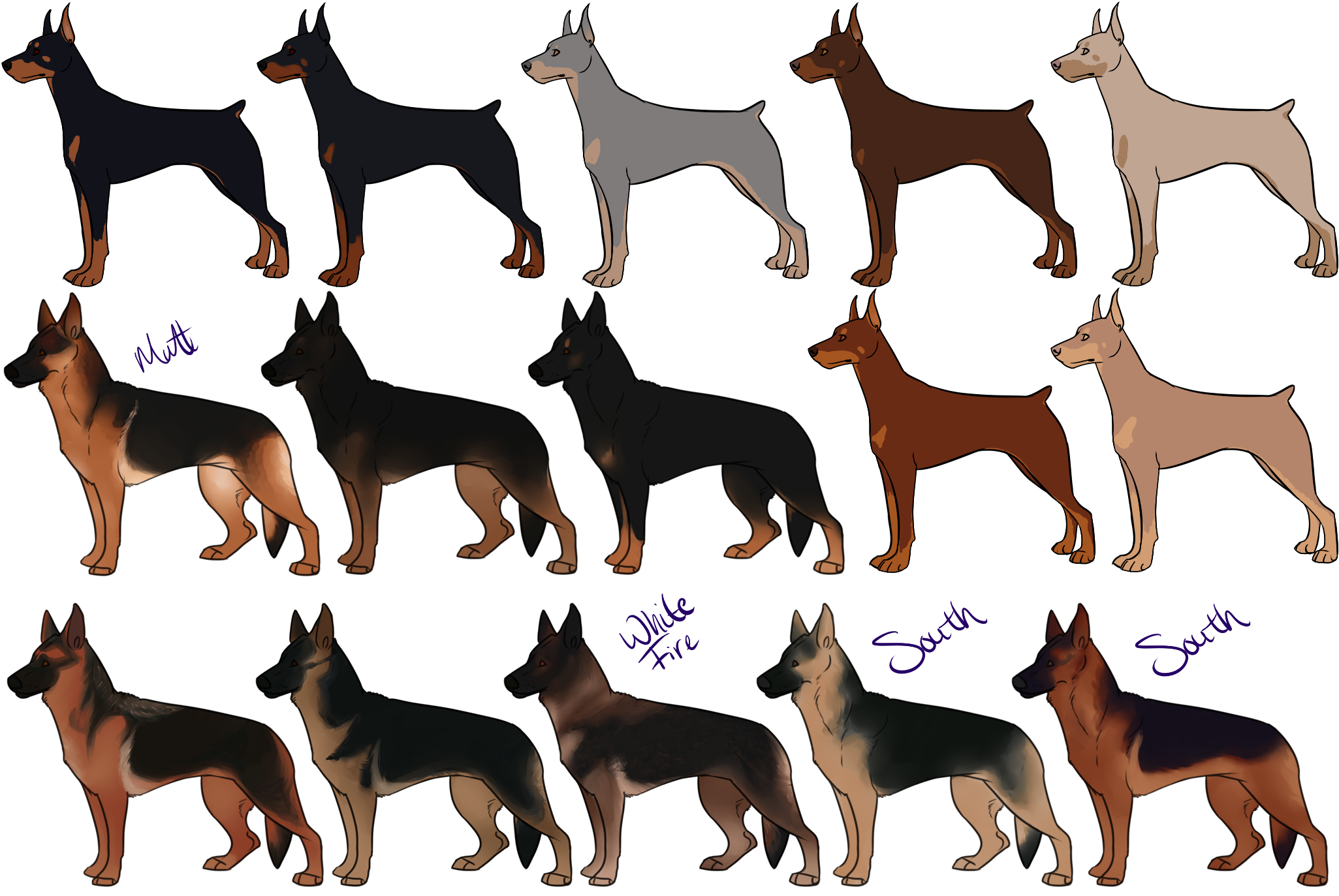 German Shepherd Dobermann German Pinscher Puppy Miniature - German Shepherd And German Pinscher, HD Png Download PNG with transparent background
