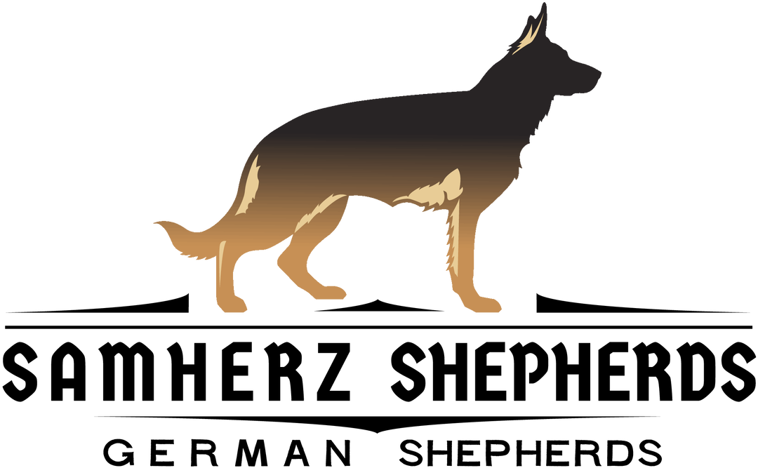 German Shepherd Kennel Logo