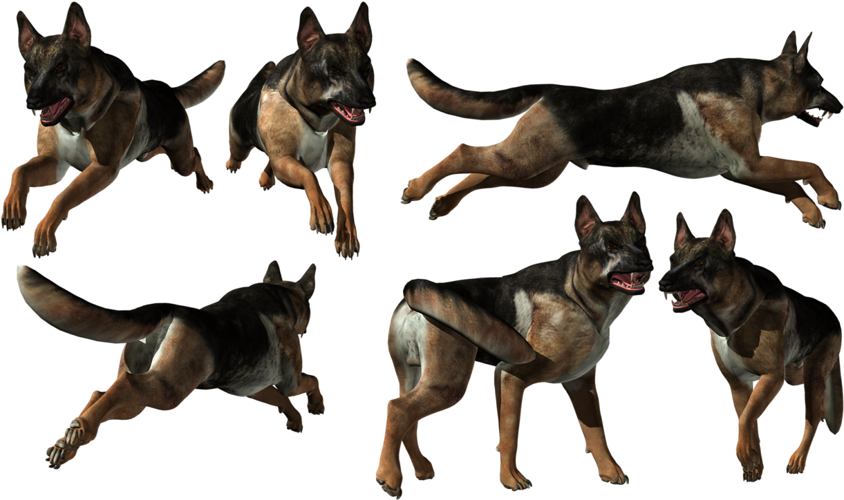 German Shepherd Multiple Poses