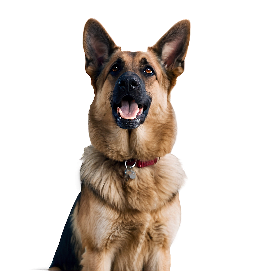 German Shepherd Profile Png Ovu10