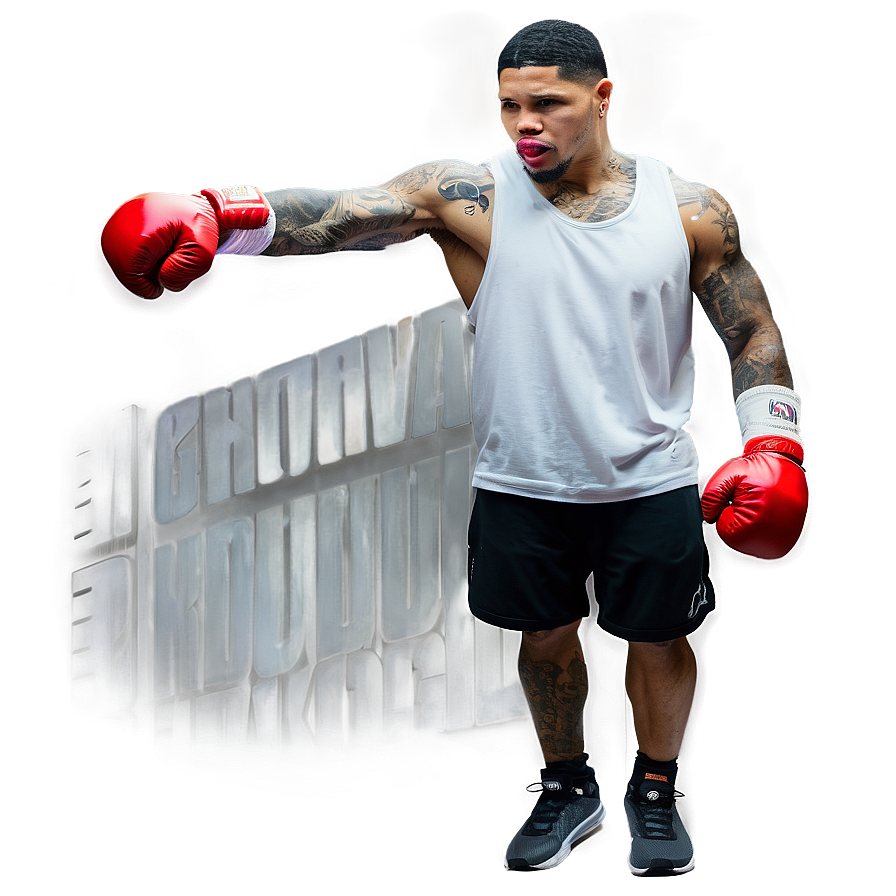 Gervonta Davis Public Workout Png 13