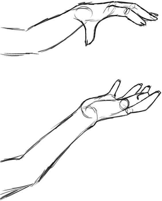 Sketch, HD Png Download PNG with transparent background