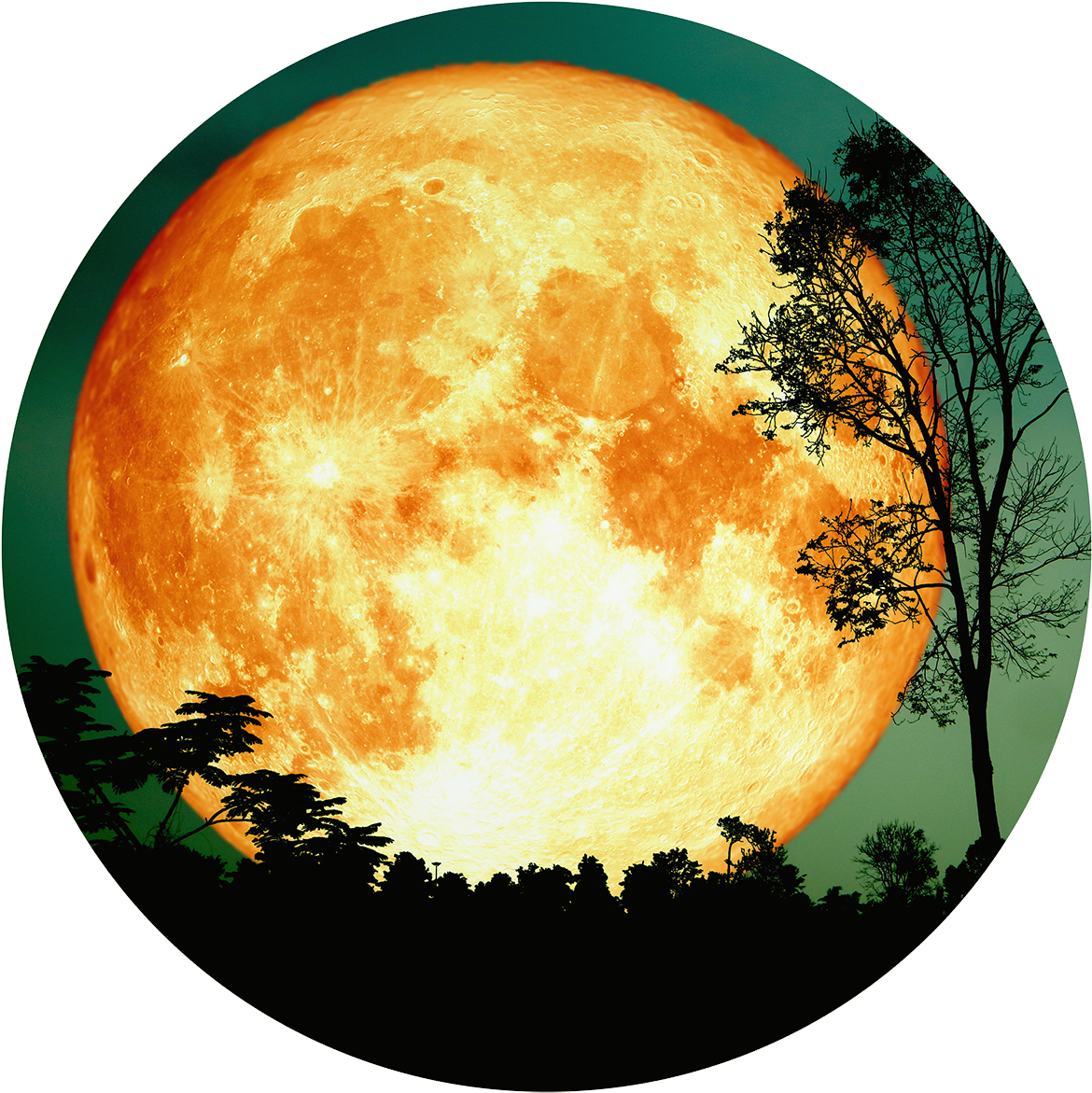 Nice Pictures Of The Moon, HD Png Download PNG with transparent background