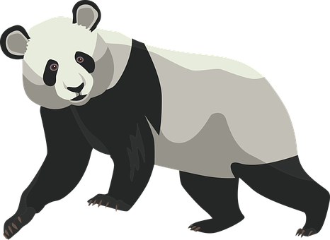 Giant Panda Illustration PNG with transparent background