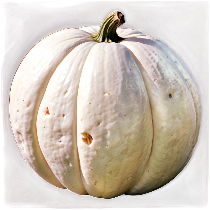 Giant White Pumpkin Png Gfh