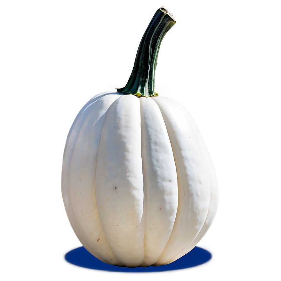 Giant White Pumpkin Png Iuo