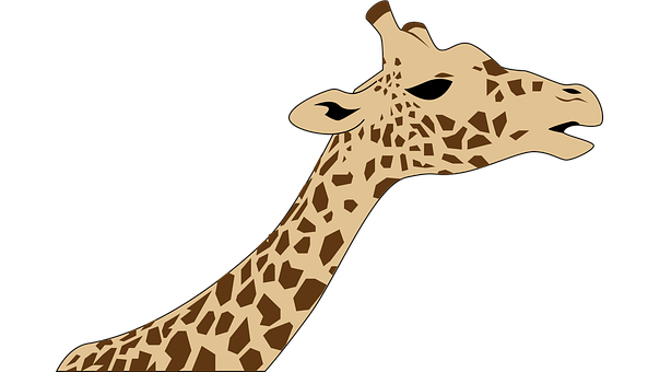 Giraffe Silhouette Against Dark Background