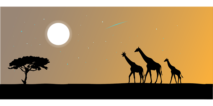 Giraffe Silhouettes Under African Sky PNG with transparent background
