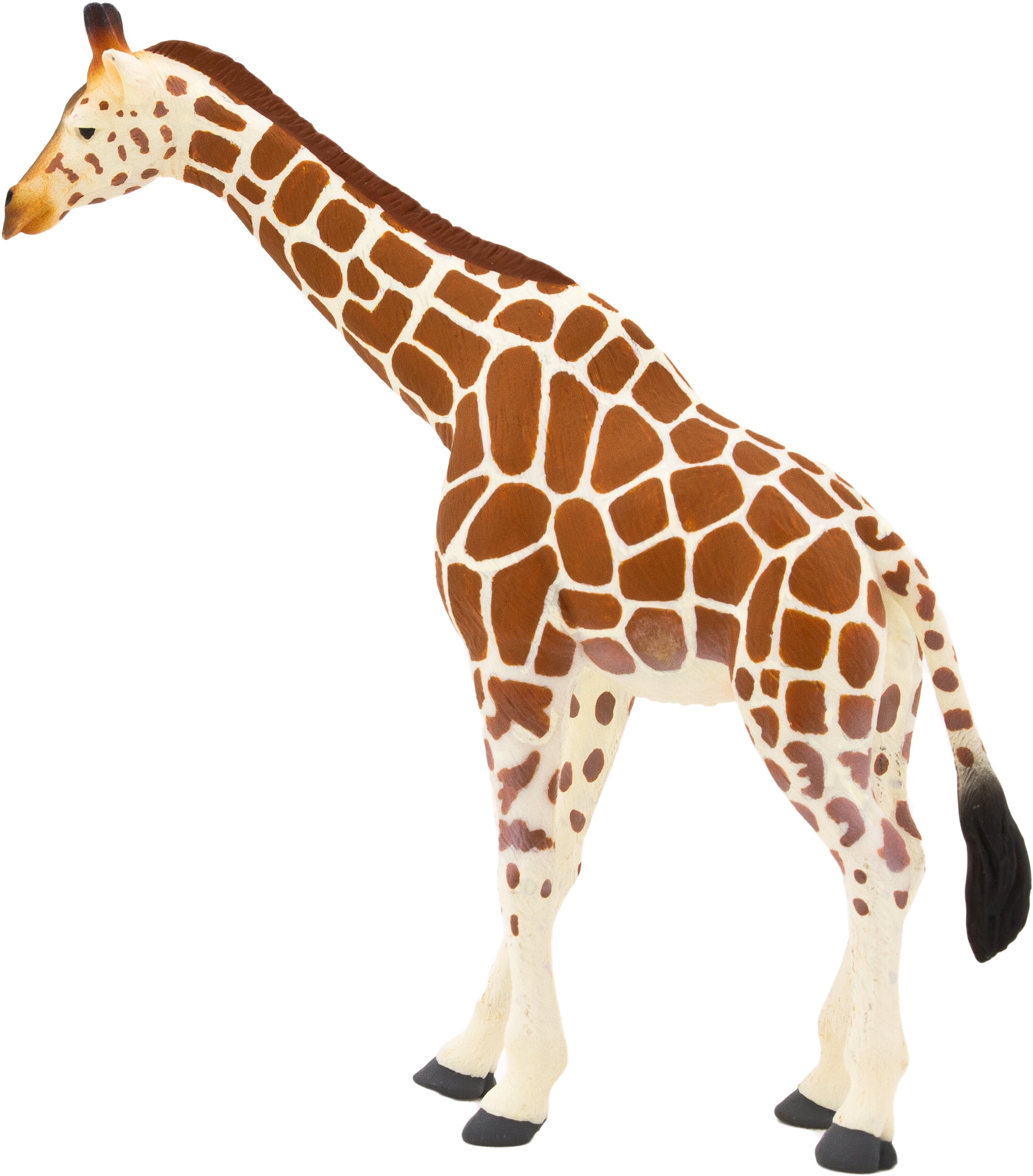 Giraffe Standing Profile