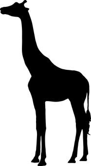Giraffein Darkness PNG with transparent background