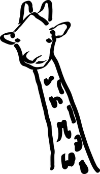 Giraffein Darkness PNG with transparent background