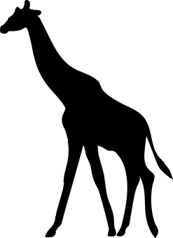 Giraffein Darkness.jpg PNG with transparent background